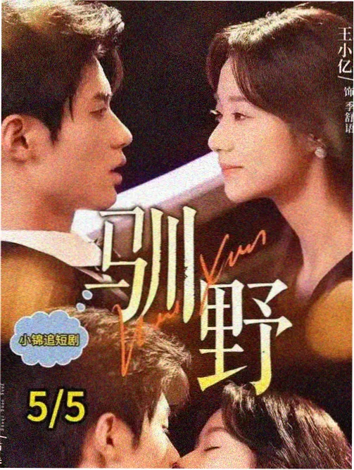 影片雨落乌蒙海报，雨幕中的山路与村落